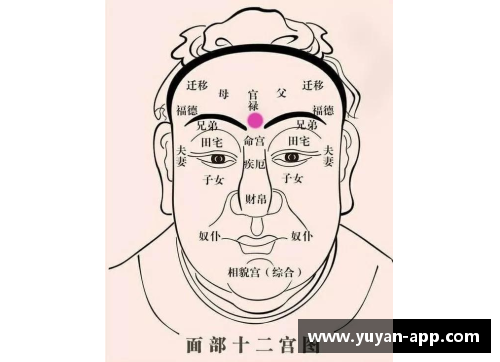 体育明星的面相解析：揭示他们成功背后的面相特征与性格奥秘